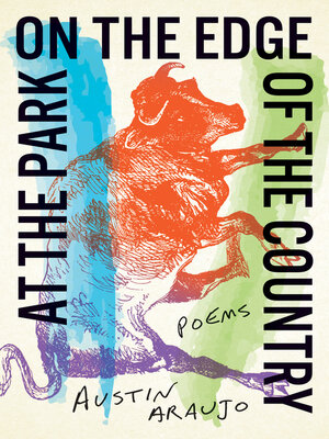 cover image of At the Park on the Edge of the Country